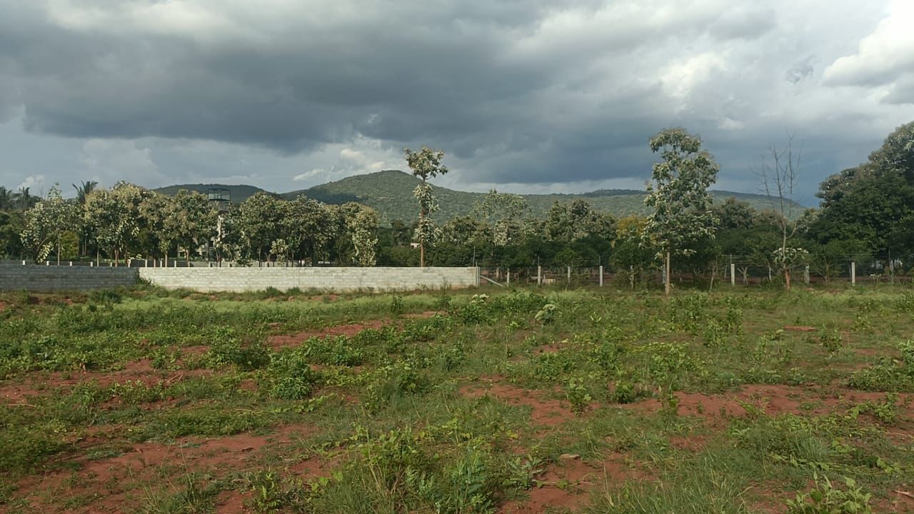 10.5 Acre General Property for Sale – Halaguru, Malavalli Taluk